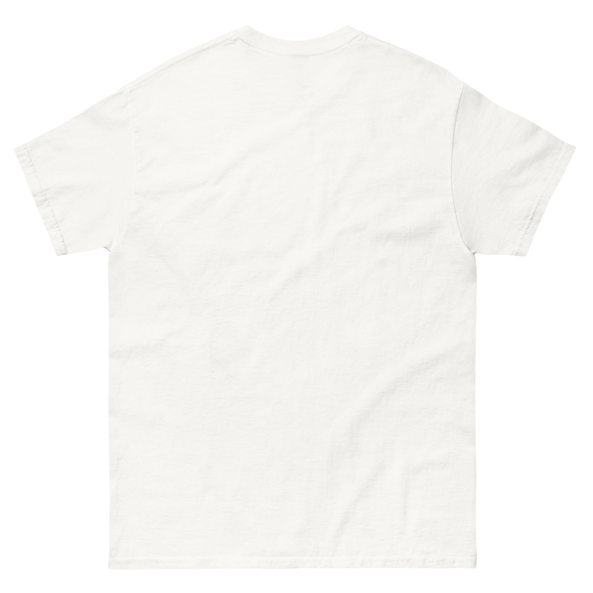 Panama City Graphic Classic Tee — 100% cotton streetwear | Mad Monkey